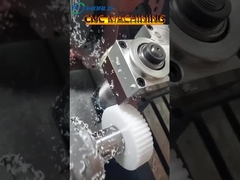 Các bánh răng nhựa tùy chỉnh